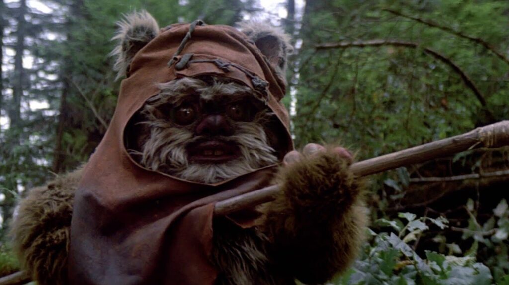 wicket