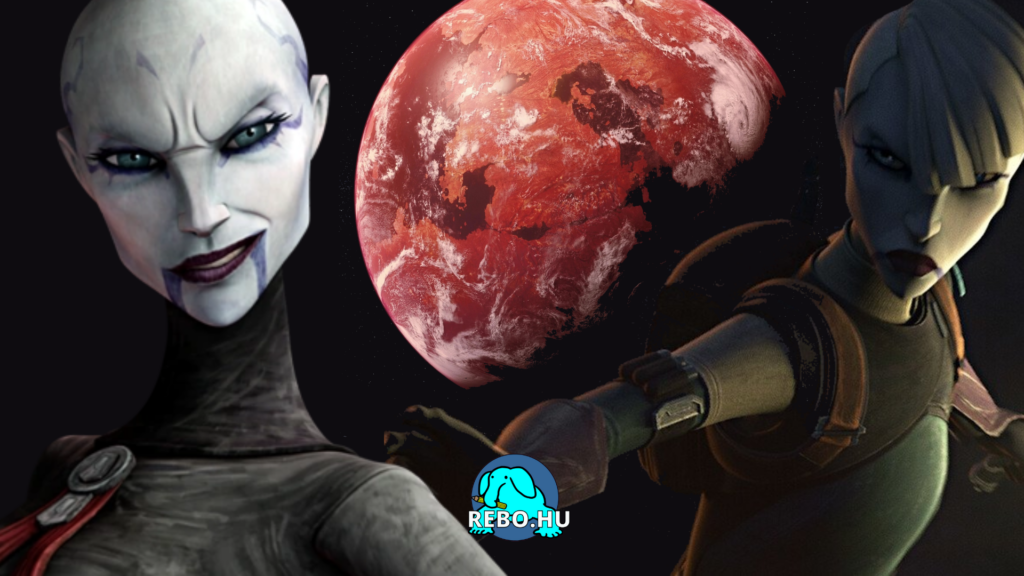 Rebo borítók (1)