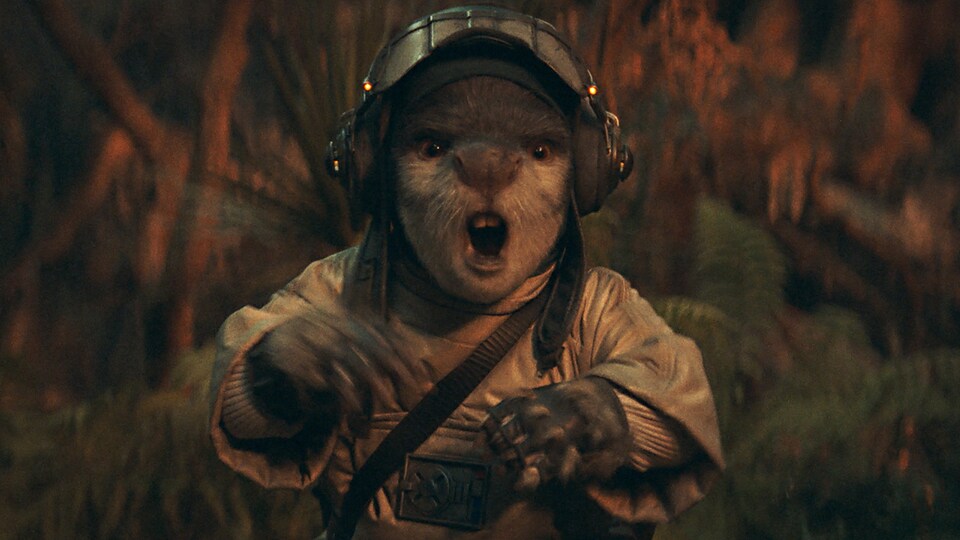 Bazil akolitus acolyte